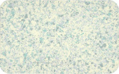 Мозаичная краска Krastone M032 4л